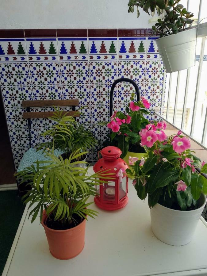 Apartamento Limon ムルシア エクステリア 写真